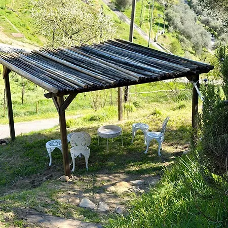 Casa Collina Di Villa